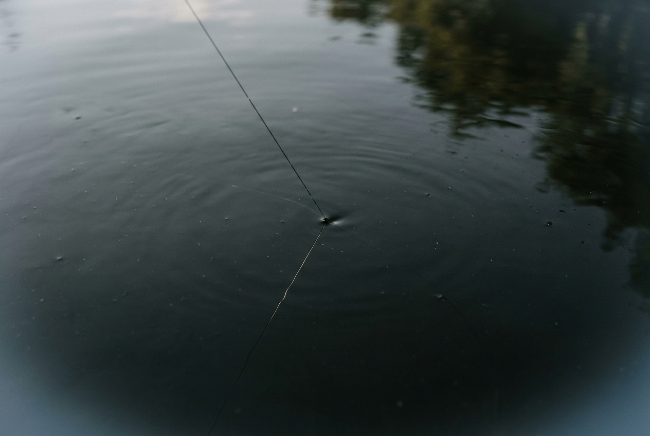 A single fine fishing line cutting into dark still water and catching the light, the one point of contact in these fishing quotes