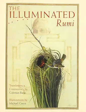 The Illuminated Rumi, book cover