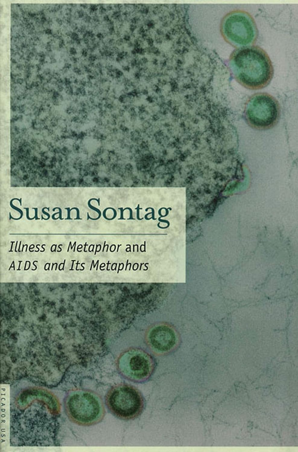 Illness as Metaphor and AIDS and Its Metaphors, book cover