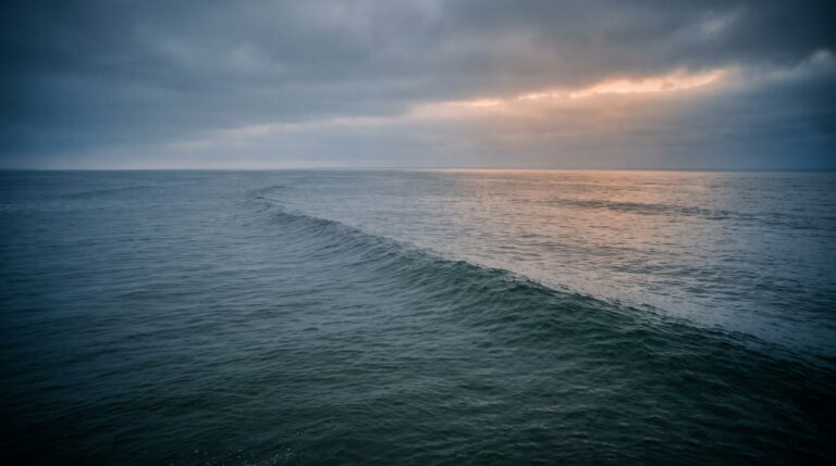 Open ocean seen from just above the water, a long swell running out to an empty horizon under overcast light